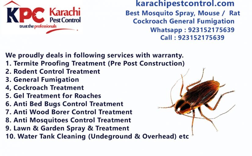 KPC – KarachiPestControl.com