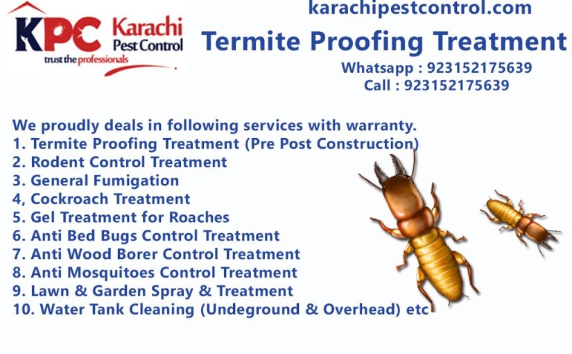 Fumigation / Pest Control Service All Over Karachi, Deemak, Khatmal