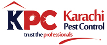 Best Fumigation in karachi termite proofing, rodent and critters treatment, lawn insects